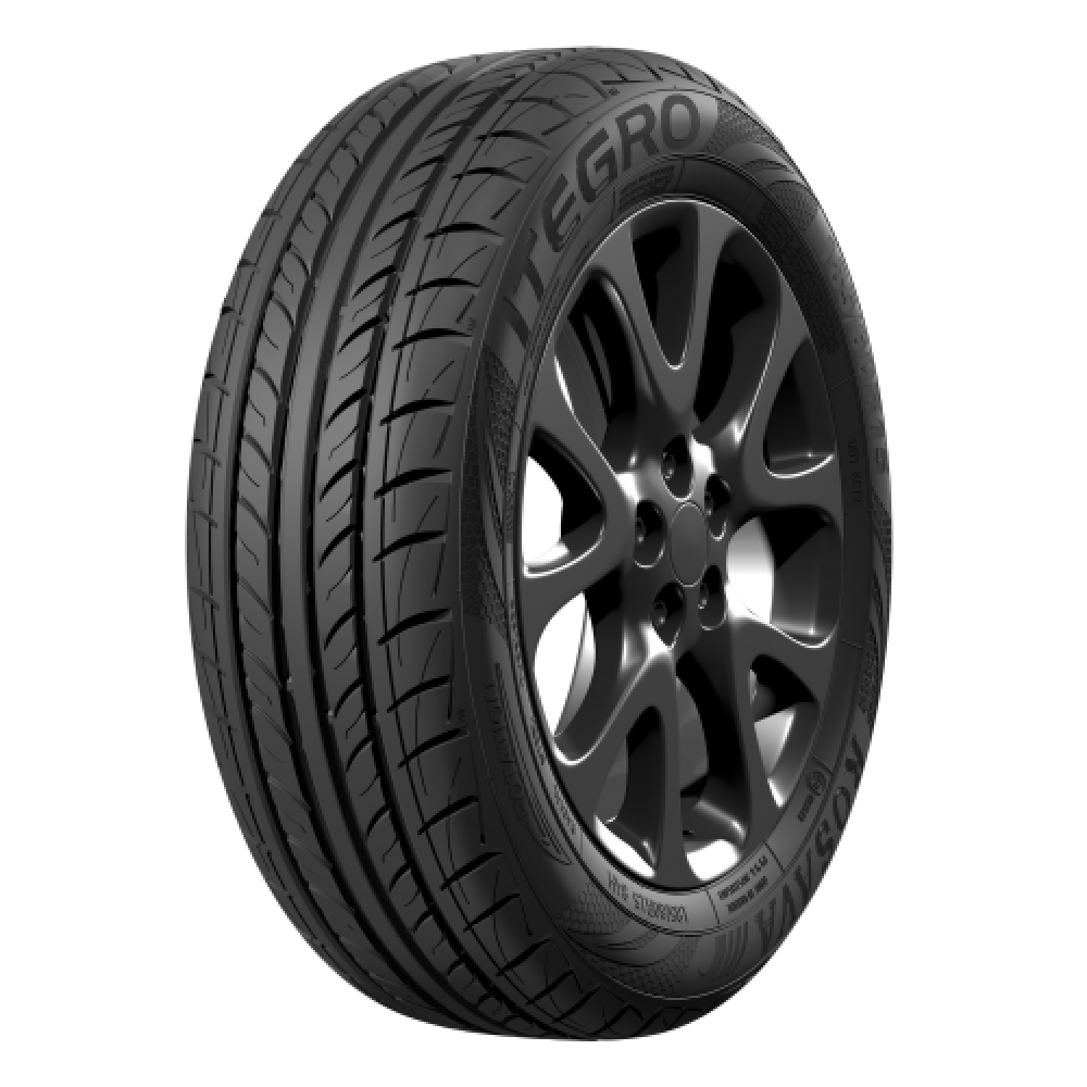 Rosava Itegro 195/55 R16 87V