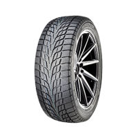 Roadcruza ICE-FIGHTER I 195/65 R15 91T